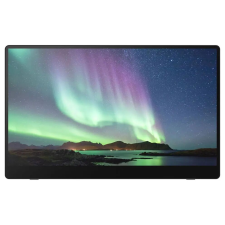 Ricoh 15,6" 150 Mobiler 16:9 FullHD OLED Monitor - Fekete monitor