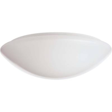RIDI (420784) (420784) LED-es mennyezeti lámpa LED Fehér (420784) világítás