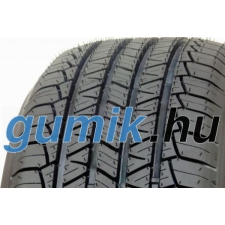 Riken 701 ( 245/45 R19 98W ) nyári gumiabroncs