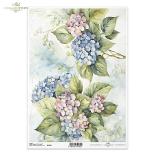  Rizspapir, hortenziák dekorációs kellék