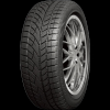 RoadX RX Frost WU01 245/45 R18 100H XL FR
