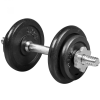 Robust 10 kg-os festett vas súlyzókészlet