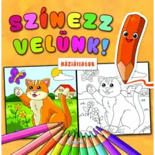 Roland Toys Kft. könyves Színezz velünk! Háziállatok gyermek- és ifjúsági könyv
