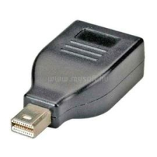 ROLINE Adapter DisplayPort - mini DisplayPort F/M (12.03.3130) kábel és adapter