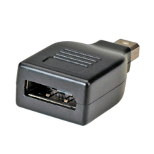 ROLINE DisplayPort --&gt; mini DisplayPort F/M adapter (12.03.3130-20) kábel és adapter