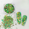 Roniki Holographic chunky glitter 05