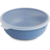 Rotho Tresa Food Container 1,02 l blue (1042106161)