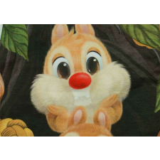 Rövid ujjú baba body Chip és Dale mintával kombidressz, body