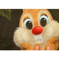  Rövid ujjú baba napozó Chip és Dale mintával - 86-os méret rugdalózó