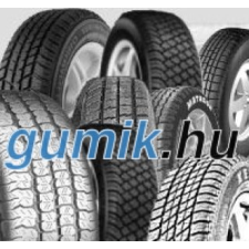 Royal Black Winter HP ( 195/65 R15 95T XL ) téli gumiabroncs