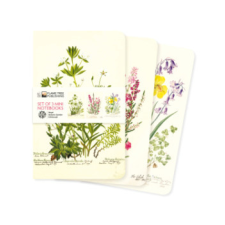 Royal Botanic Garden Edinburgh Set of 3 Mini Notebooks naptár, kalendárium