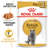 Royal Canin British Shorthair Adult - Brit rövidszörű felnőtt macska nedves táp (48 x 85 g) 4.08kg