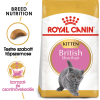 Royal Canin British Shorthair Kitten - Brit rövidszőrű kölyök macska száraz táp (2 x 2 kg) 4kg