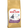 Royal Canin British Shorthair Kitten - Brit rövidszőrű kölyök macska száraz táp 400 g