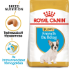 Royal Canin French Bulldog Junior - Francia Bulldog kölyök kutya száraz táp (2 x 3 kg) 6kg