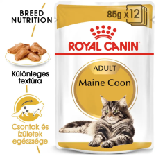 Royal Canin Maine Coon adult 12x85g nedves macskatáp macskaeledel