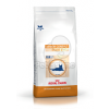 Royal Canin Royal Canin Feline Early Renal 1,5 kg