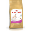 Royal Canin Sphynx Adult - Szfinx Felnőtt Macska Száraz Táp 2 Kg (14634)