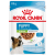 Royal Canin X-small Puppy - Nedves táp kistestű kölyök kutya részére (12 x 85 g) 1.02kg