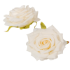  Rózsa virágfej krém D10cm 12db/csom