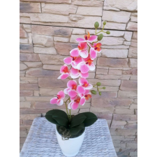  Rózsaszín csíkos 1 szálas orchideadekor dekoráció