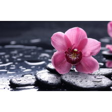  Rózsaszín orchidea tapéta, 400 x 250 cm tapéta, díszléc és más dekoráció