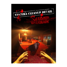 RuneStorm Viscera Cleanup Detail (PC - Steam Digitális termékkulcs) videójáték