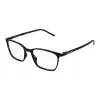 Saint Laurent SL 885 002 HAVANA DEMO LENS szemüveg