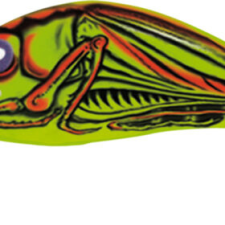 Salmo Wobbler Hornet H2s Bt csali