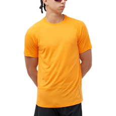 Salomon Cross Run Ss Tee M  D