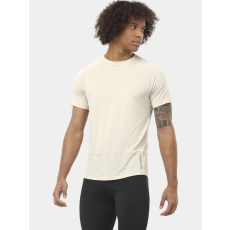 Salomon Cross Run Ss Tee M D