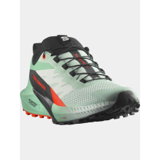 Salomon Sense Ride 5  D női cipő