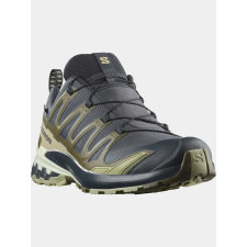 Salomon XA PRO 3D V9 GTX D férfi cipő