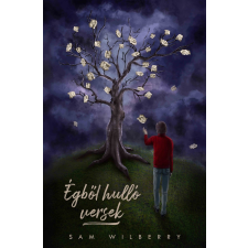 Sam Wilberry - Égből hulló vesek gyermek- és ifjúsági könyv
