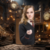 Samsung Harry Potter - Hermione Granger - Samsung obal
