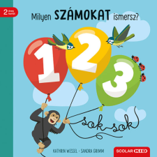 Sandra Grimm Milyen számokat ismersz? gyermek- és ifjúsági könyv