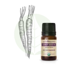 Sárgarépa - Daucus carota illóolaj Bio - 5ml - Alteya Organics illóolaj