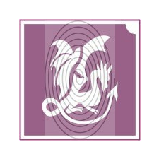  Sárkány (csss0535) csillámtetoválás