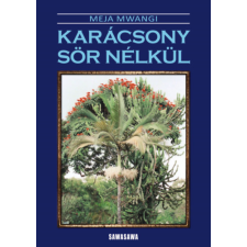 Sawasawa Kiadó Karácsony sör nélkül regény