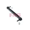 Schaeffler FAG Rúd/kar, stabilizátor 818 0602 10