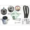 Schaeffler INA Vízpumpa + fogasszíj készlet 530 0089 30