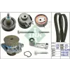 Schaeffler INA Vízpumpa + fogasszíj készlet 530 0360 30