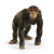 Schleich 14883 Wild Life Csimpánz figura (14883)