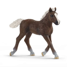 Schleich Fekete-erdei csikó figura (13899) (sch13899) játékfigura