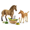 Schleich Horse Club Sarahs Tierbaby-Pflege (42432)