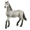 Schleich Schleich Pura Raza Espanola csikó