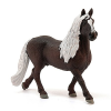  Schleich Schwarzwaldi mén (13897)