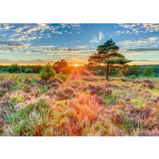 Schmidt Schmidt puzzle naplemente a hanga fölött 1000 darabos puzzle, kirakós