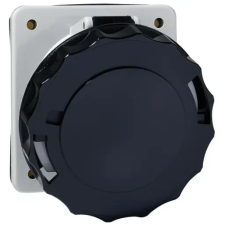 SCHNEIDER 81285 PK beépíthető ferde aljzat 63A, 4P, 500V, IP67 villanyszerelés