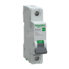 SCHNEIDER Easy9 Pro kismegszakító 1P B 40A 6kA